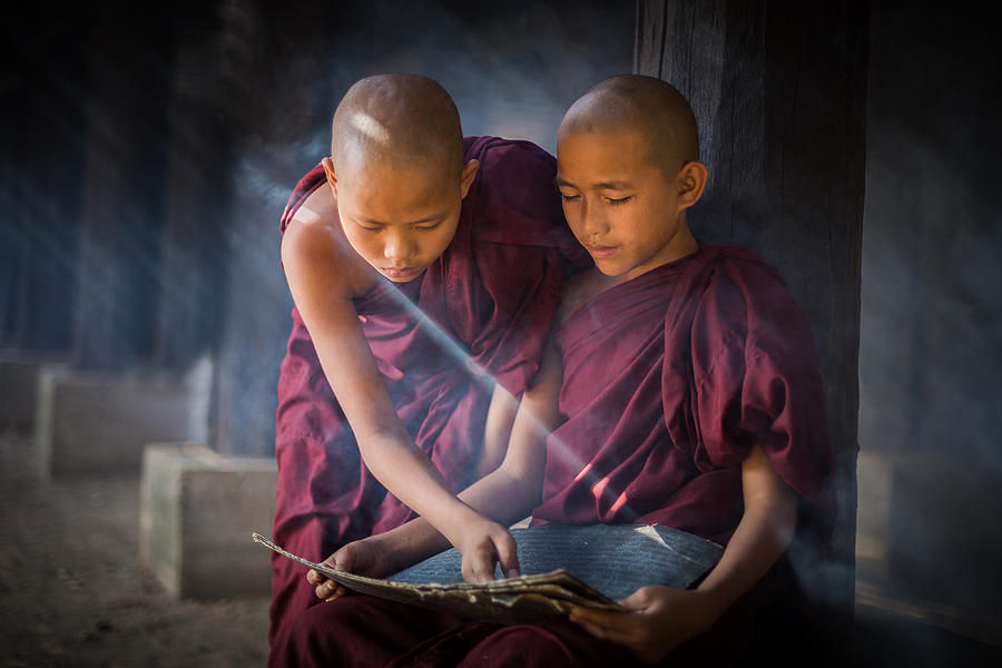 Myanmar Photograph - Study by Franz Sussbauer