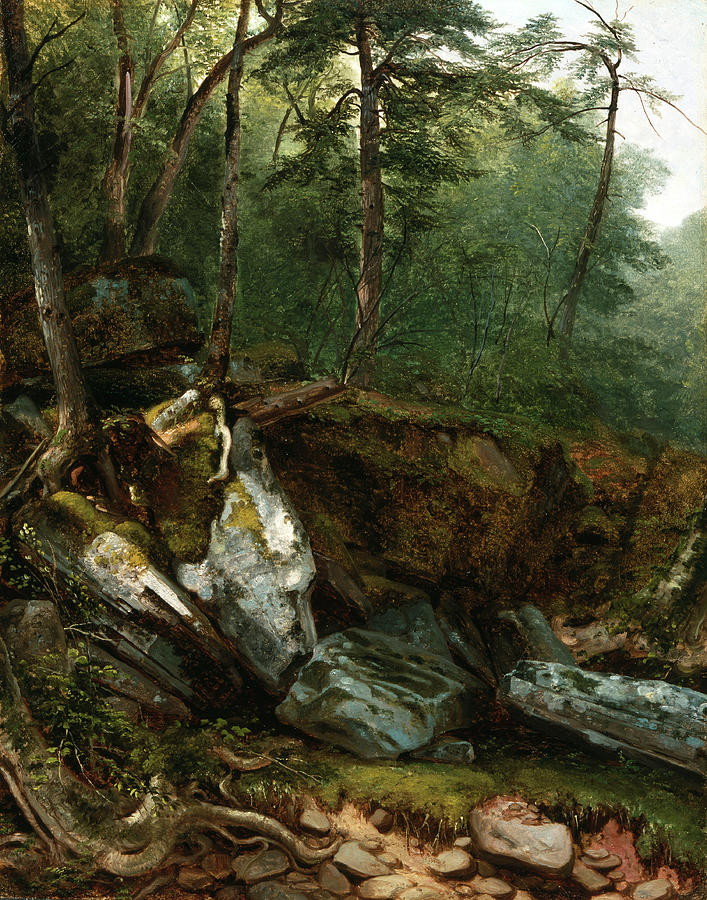 Study From Nature Rocks And Trees In Photograph by The New York Historical Society