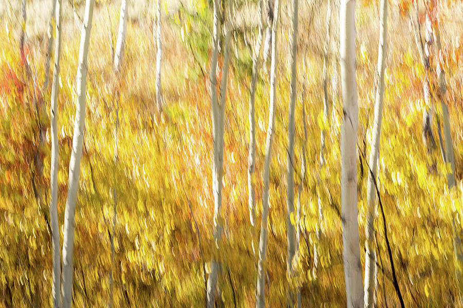 Study In Abstract No. 10, Grand Teton by Ann Skelton Study In Abstract No. 10, Grand Teton by Ann Skelton