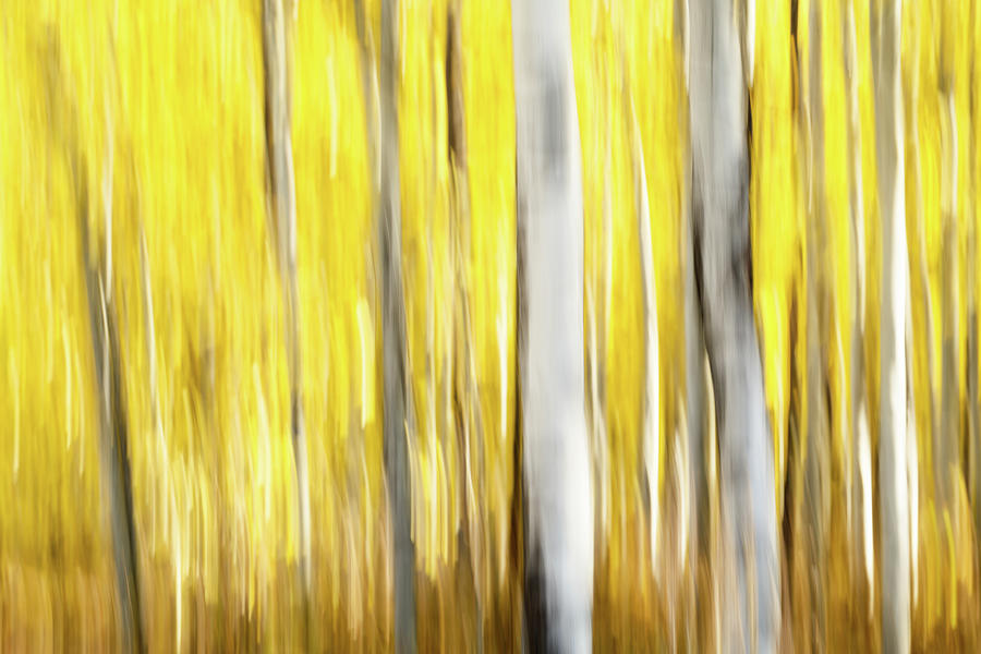 Study In Abstract No. 25, Grand Teton Photograph by Ann Skelton