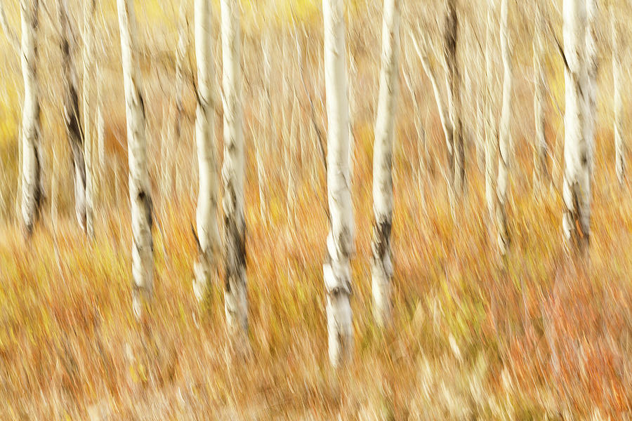 Study In Abstract No. 8, Grand Teton Photograph by Ann Skelton