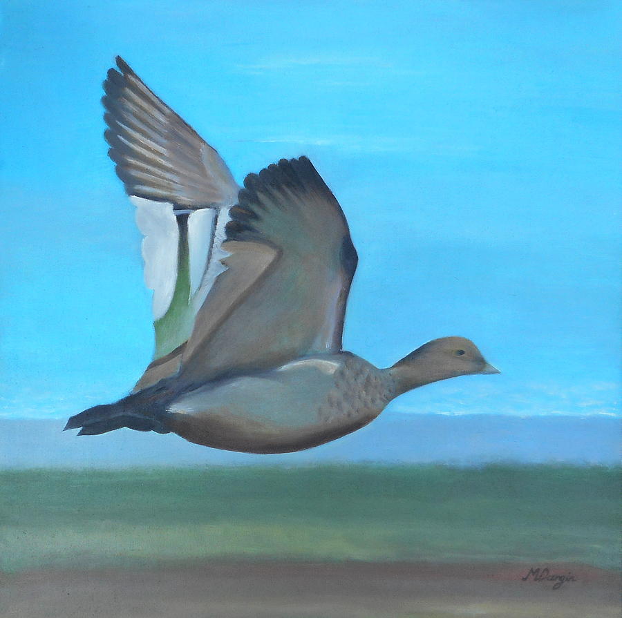 Study Of A Bird In Flight Painting by Mandy Dargin | Fine Art America