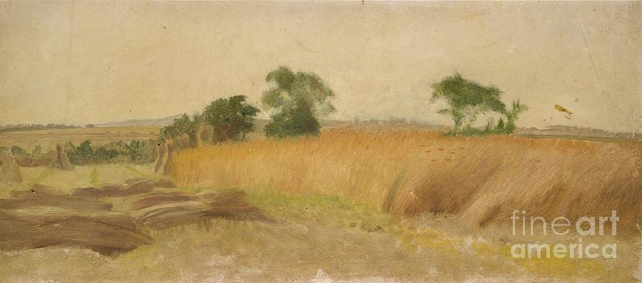 Study Of A Cornfield Drawing by Heritage Images Study Of A Cornfield Drawing by Heritage Images