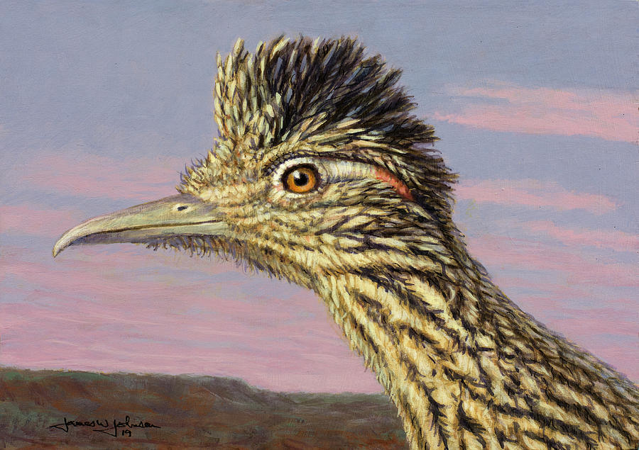 Study of a Roadrunner Painting by James W Johnson