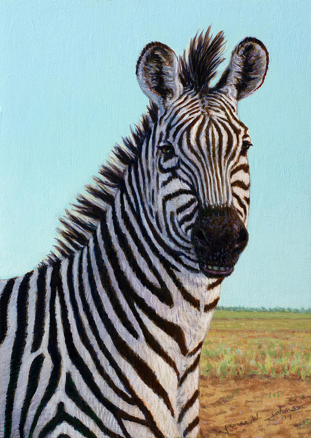 Wildlife Painting - Study of a Zebra by James W Johnson