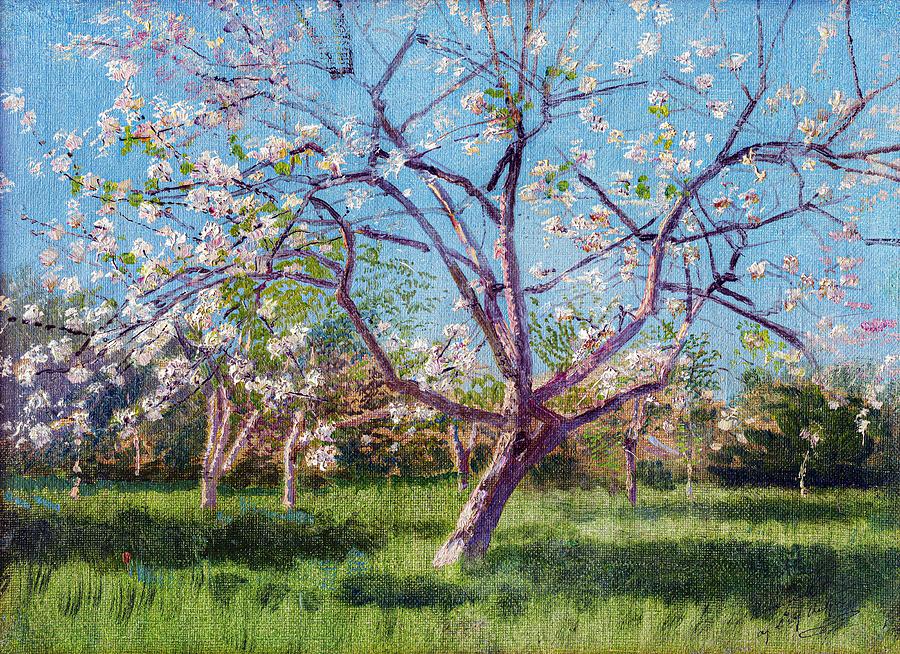 Laszlo Mednyanszky Photograph - Study Of Blooming Trees In An Orchard by Dec925