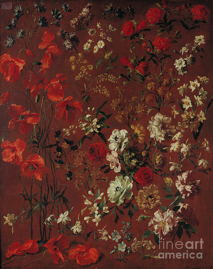Rose Painting - Study Of Flowers, 1720 by Hyacinthe Francois Rigaud