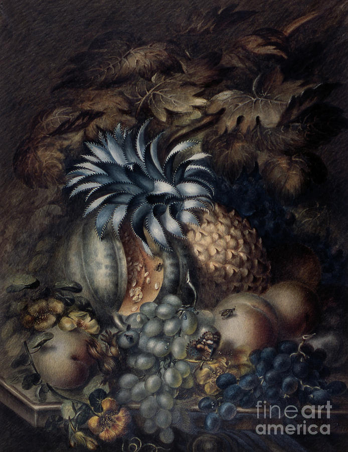 Study of Fruit  Pastel by Mary Bradley