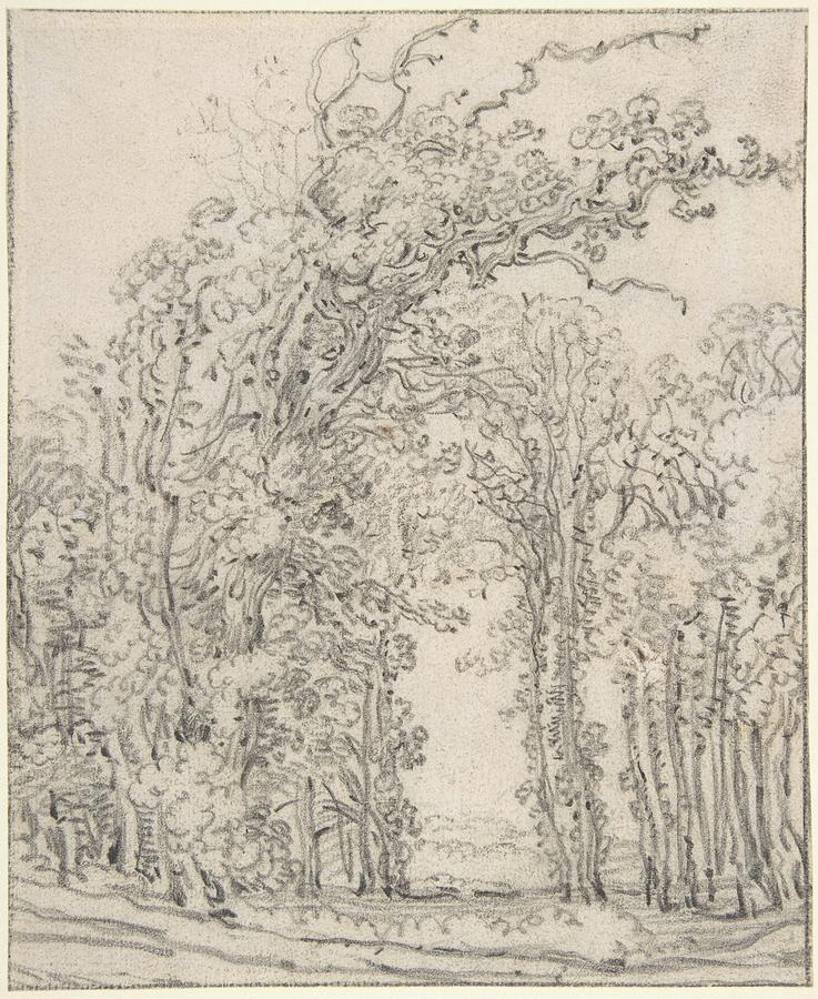 Study Of Trees Drawing by John Ruskin - Fine Art America