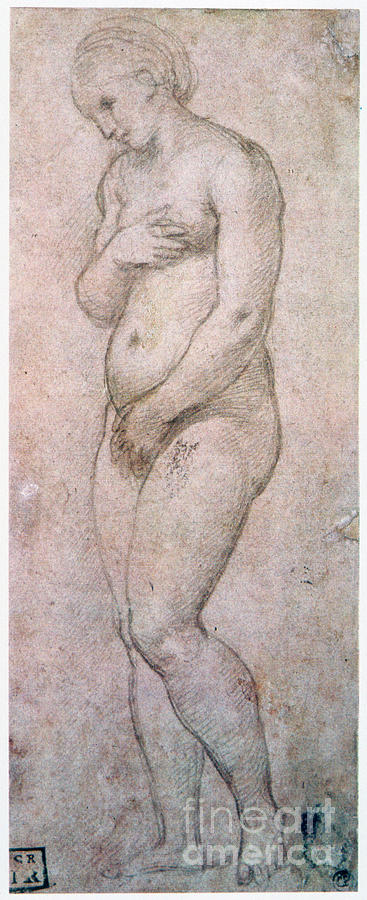 Study Of Venus, C1500-1520. Artist Drawing by Print Collector