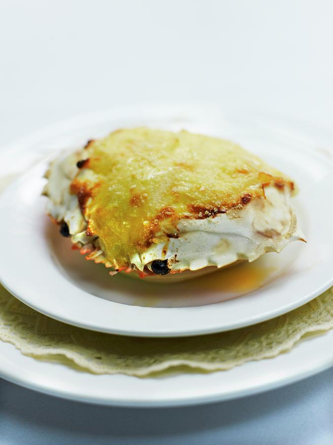 Stuffed Crab Photograph by Amiel
