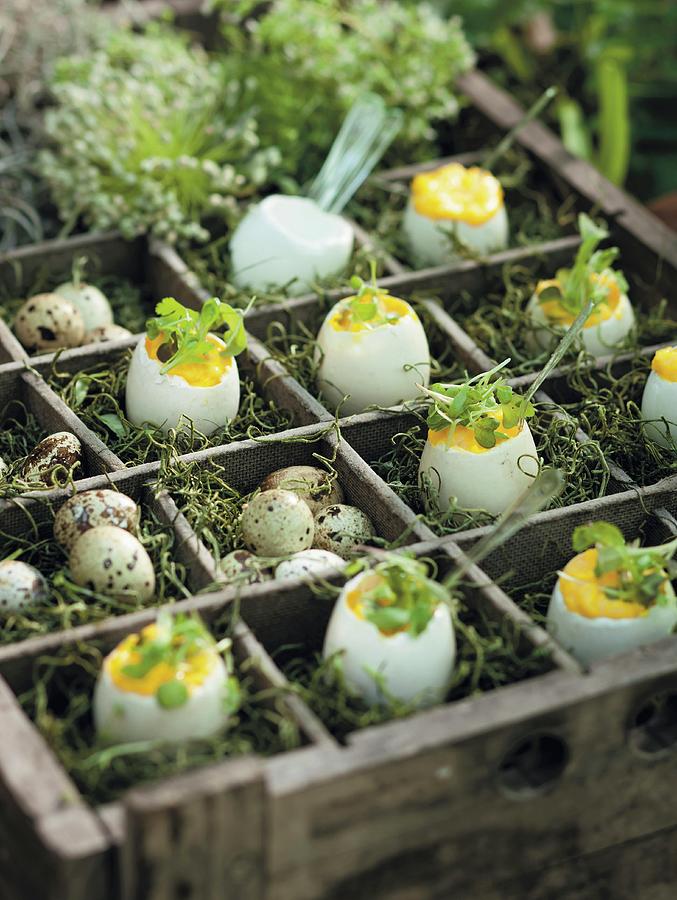 Stuffed Eggs With Truffle Oil Photograph by Great Stock!