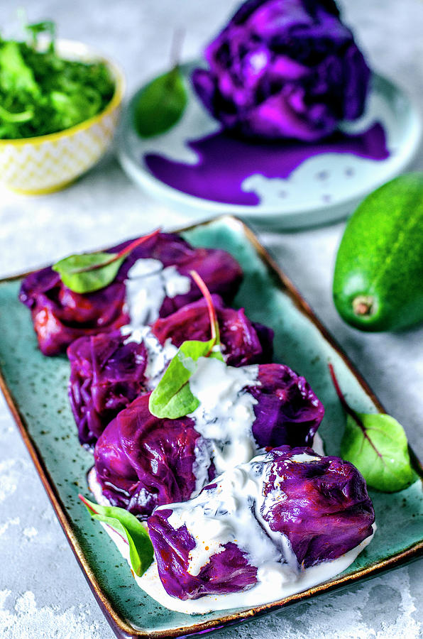 Stuffed Purple Cabbage With Minced Meat And Rice, Avocado And Boiled Cabbage Photograph by Gorobina