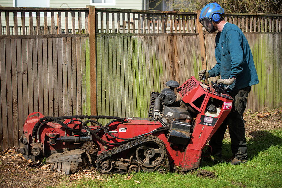 Stump Grinder near an Aging Fence Photograph by Tom Cochran