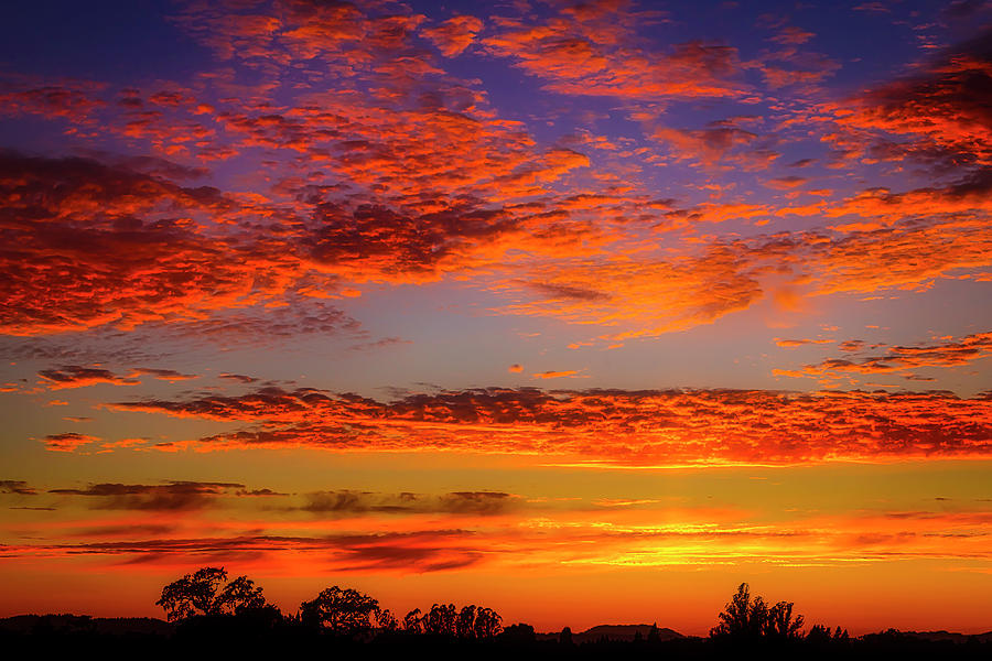 Stunning California Sunset Photograph by Garry Gay