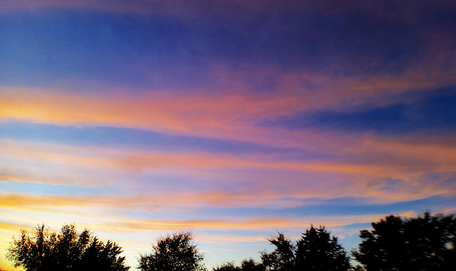 Stunning Cirrus Sunset  Photograph by Ally White