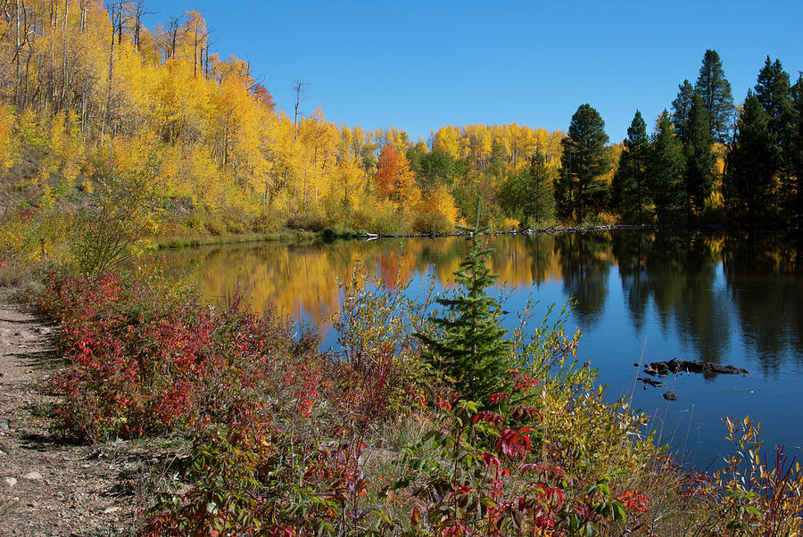 Stunning Colorado Autumn Reflected Photograph by Cascade Colors