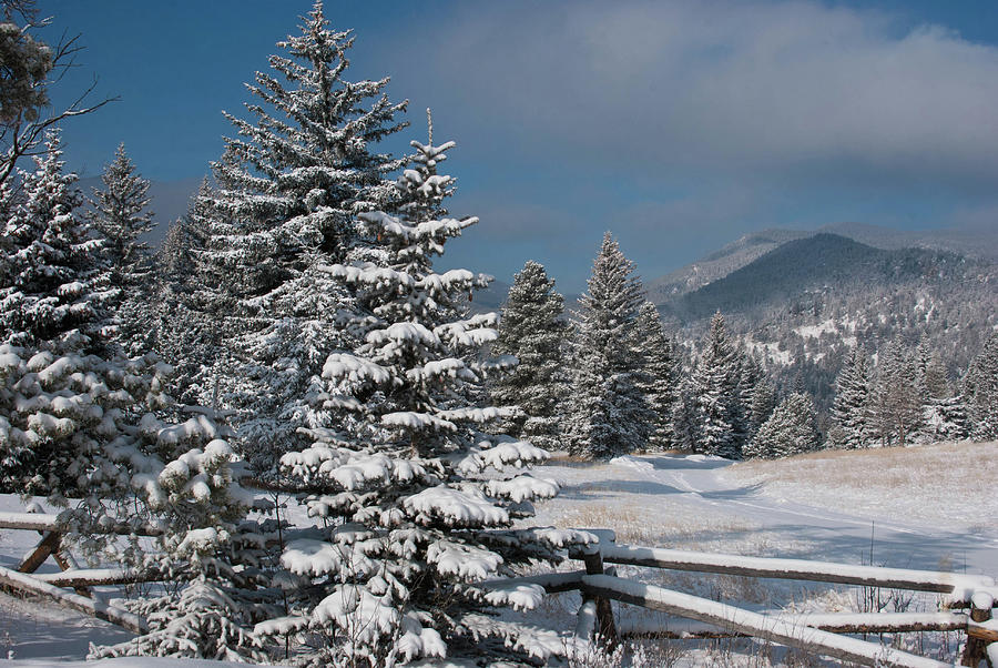 Stunning Colorado Winter Morning Photograph by Cascade Colors