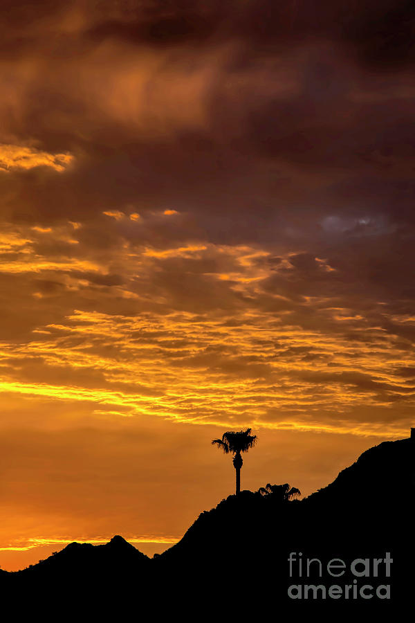 Stunning Copper Sunset Photograph by Elisabeth Lucas - Fine Art America