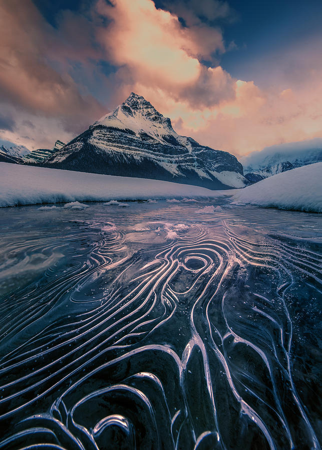 Winter Photograph - Stunning Ice Line by Leah Xu