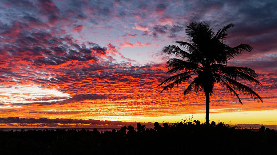 Stunning Sunrise Palm Delray Beach Florida Photograph by Lawrence S Richardson Jr