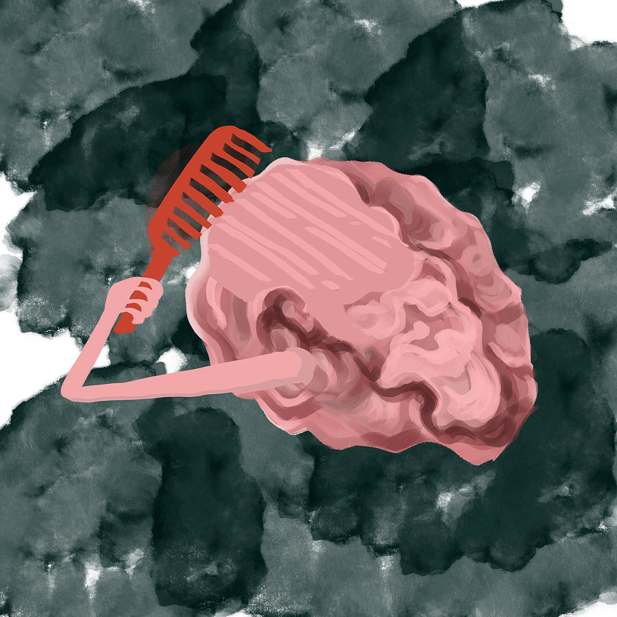 stupid brain book stupid brain book