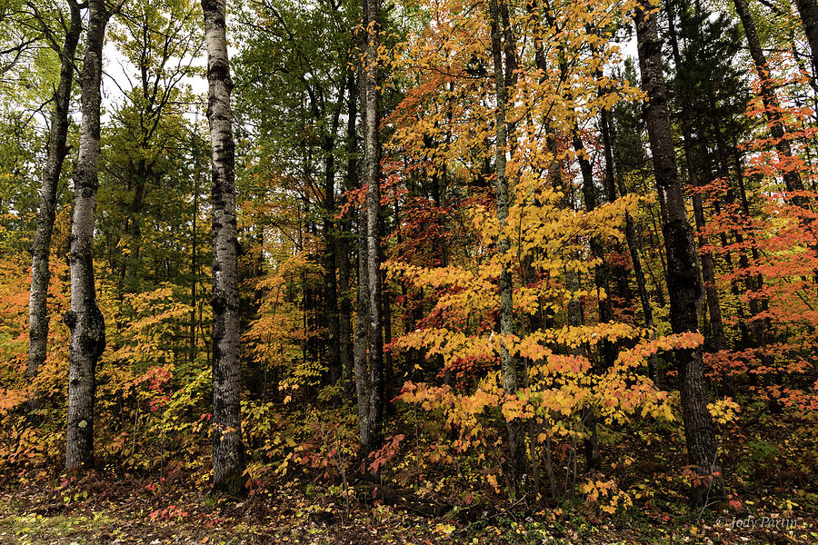 Sturgeon River Gorge Wilderness by Jody Partin Sturgeon River Gorge Wilderness by Jody Partin