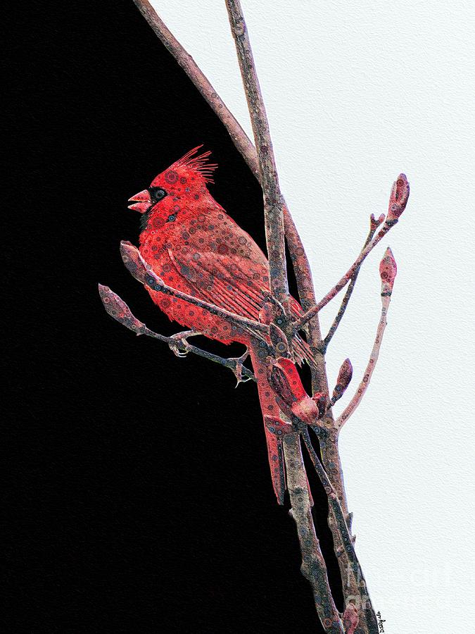 Stylized Cardinal  Digital Art by Diana Rajala