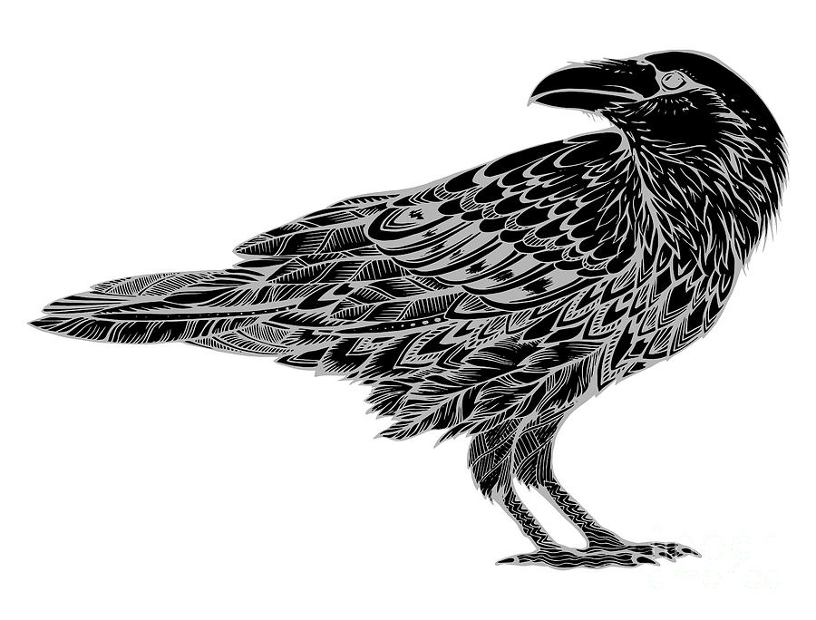 Symbol Digital Art - Stylized Crows Decorative Bird Line by In Art
