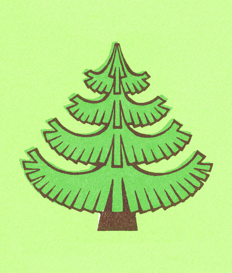 Christmas Drawing - Stylized Evergreen Tree by CSA Images