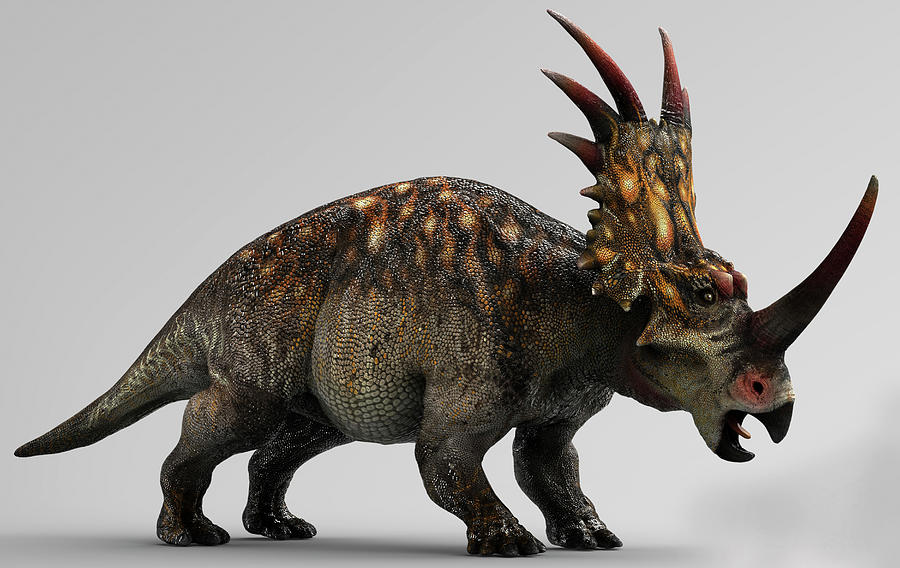 Styracosaurus Dinosaur, Side View Photograph by Robert Fabiani