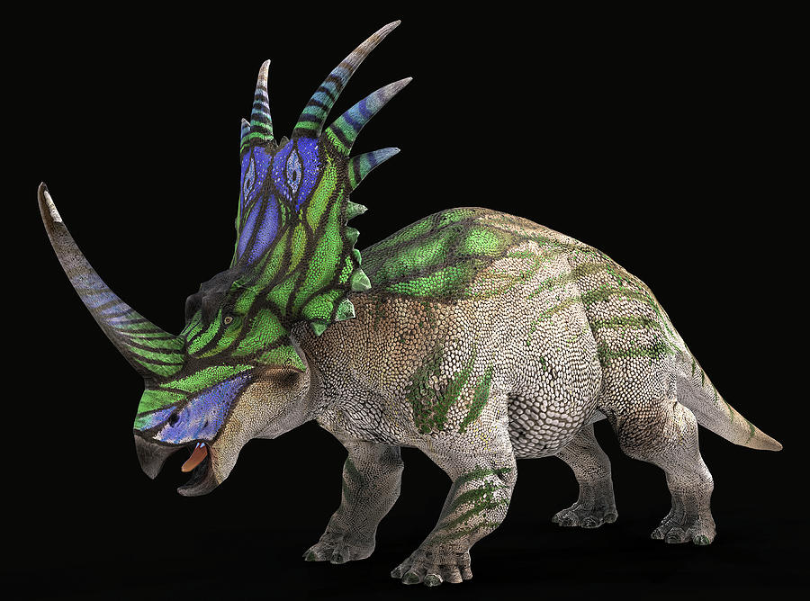 Styracosaurus Dinosaur With Colorful Photograph by Robert Fabiani