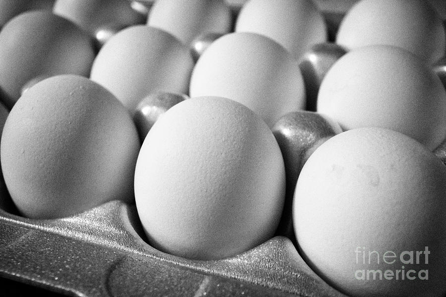 Egg Photograph - styrofoam box of white eggs in the USA United States of America by Joe Fox
