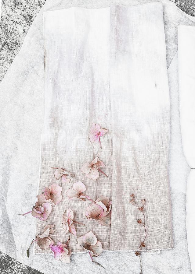 Subtly Dyed Fabric And Pale Pink Hydrangea Flowers Photograph by Agata Dimmich