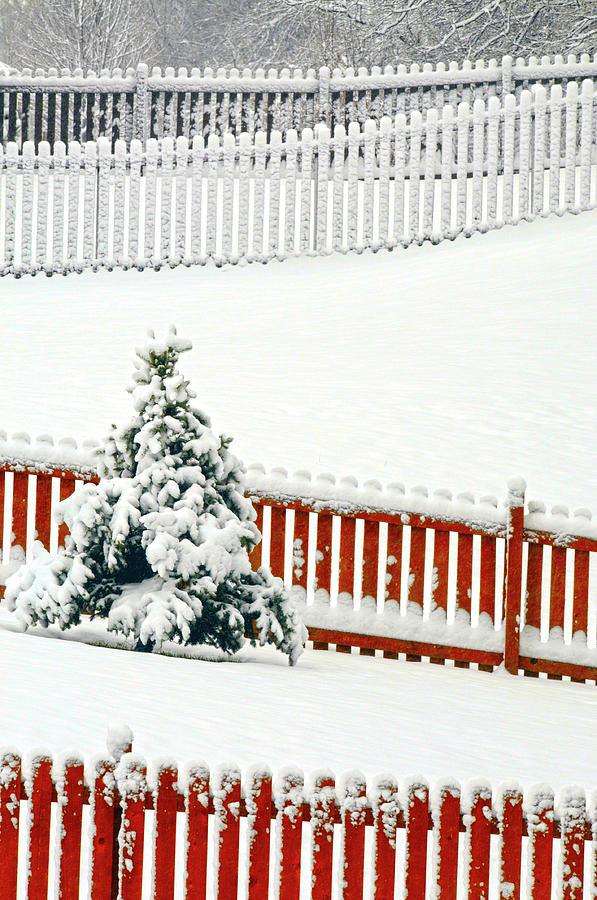 Snow Photograph - Suburban Fences in snow by Don Wolf