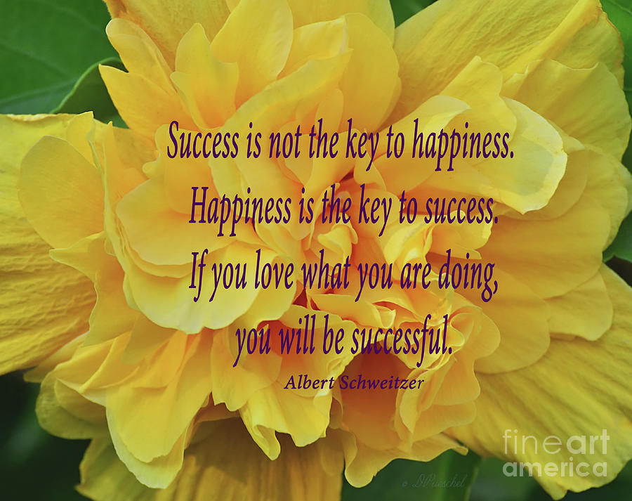 Success and Happiness Photograph by Debby Pueschel