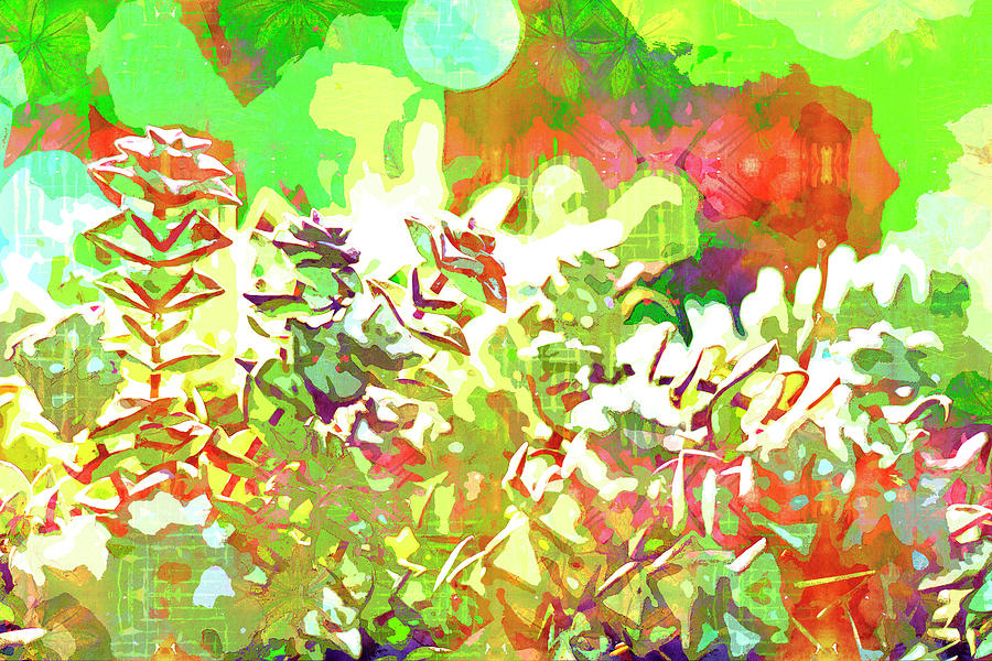 Succulent garden 1 by Jocelyn Friis Succulent garden 1 by Jocelyn Friis