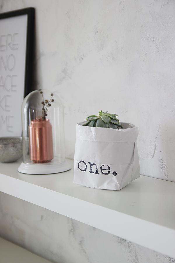 Succulent In Hand-made Printed Paper Bag Next To Copper Vase Below Glass Cover Photograph by Astrid Algermissen