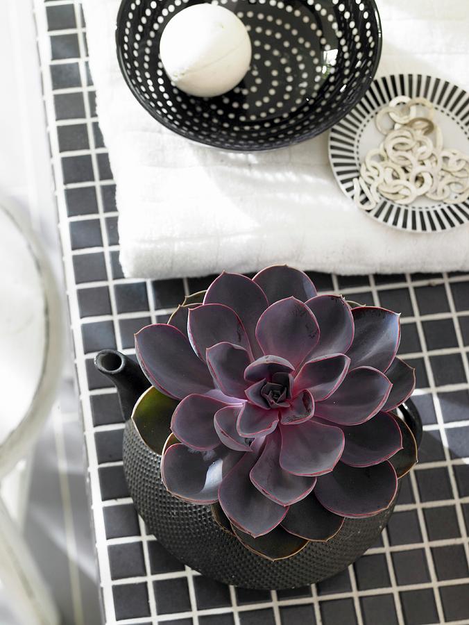 Succulent Planted In Teapot Next To Bowls Holding Jewellery And Bath Bomb Photograph by Greenhaus Press