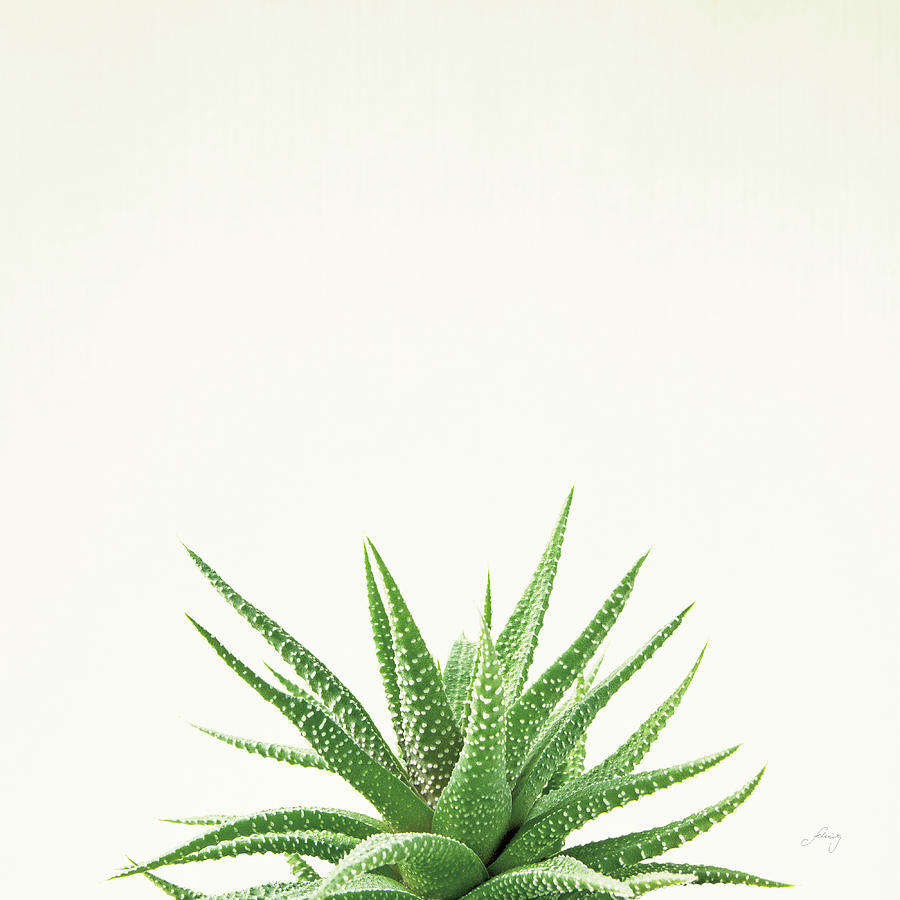 Aloe Photograph - Succulent Simplicity I Neutral by Felicity Bradley