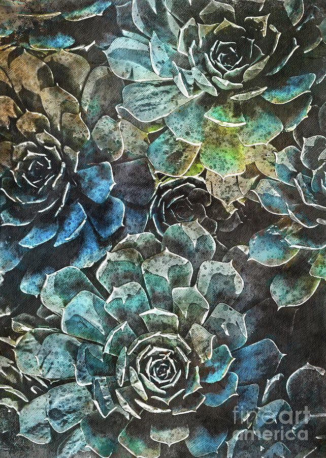 Succulents Flora Art Digital Art by Justyna Jaszke JBJart
