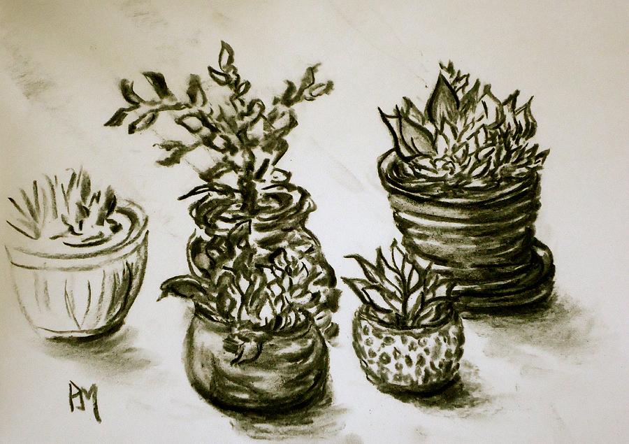 Succulents Drawing by Pete Maier