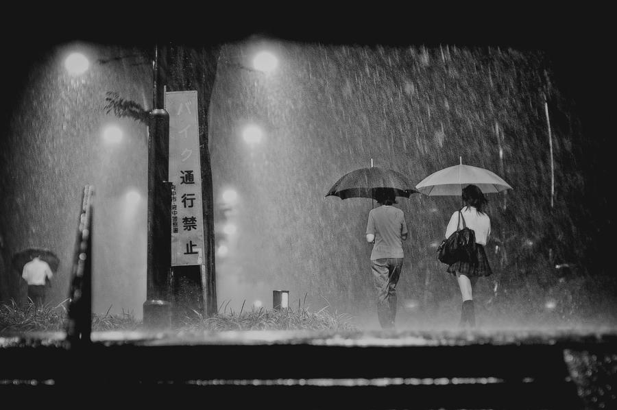 Sudden Rain Photograph by Kouji Tomihisa