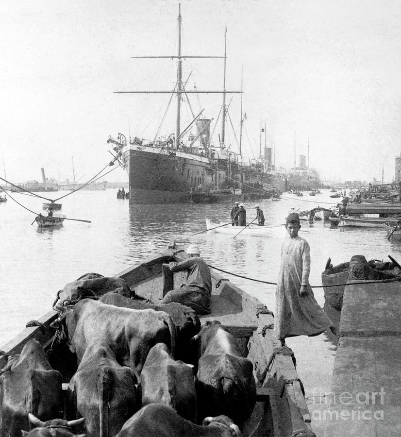 Suez Canal Trade Photograph by Library Of Congress/science Photo Library