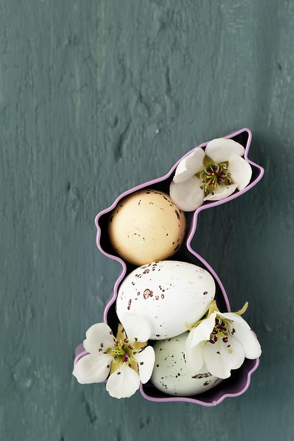 Sugar-coated Chocolate Eggs And Pear Blossom In Bunny-shaped Pastry Cutter Photograph by Mandy Reschke