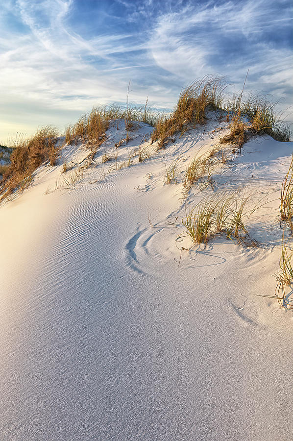 Sugar Dune Photograph by Bill Chambers - Fine Art America