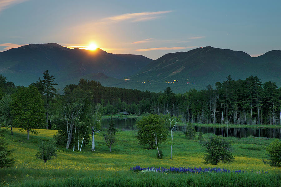 Sugar Hill Lupine Moonrise Photograph by White Mountain Images