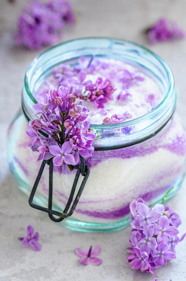Sugar With Lilac Blossoms Photograph by Gorobina