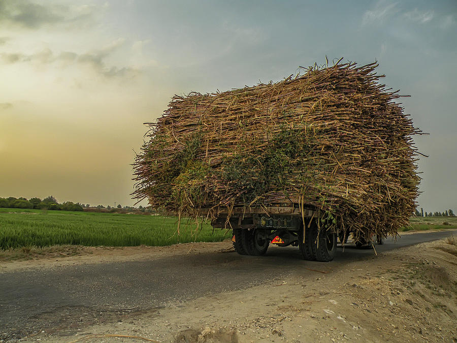 Sugarcane On Wheels Photograph by Muhammad Owais Khan