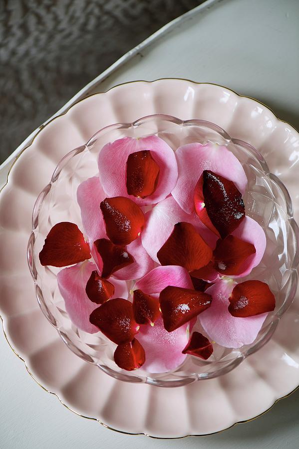 Sugared Rose Petals For Valentines Day Photograph by Winfried Heinze